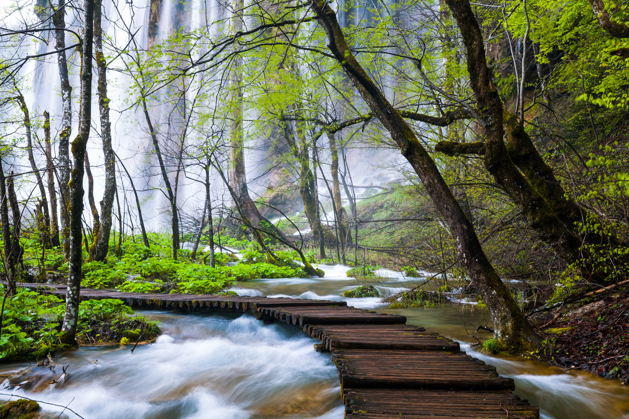 Hike in Plitvice Lakes National Park