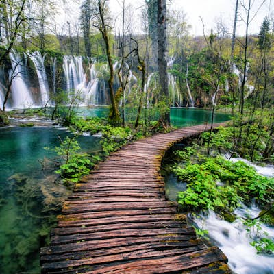 Hike in Plitvice Lakes National Park