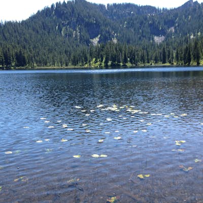 Snoqaulmie Lake Trail Run to Dorothy Lake