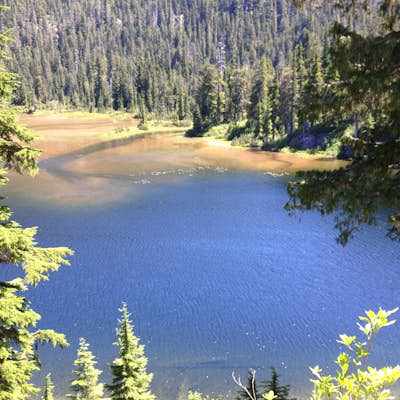 Snoqaulmie Lake Trail Run to Dorothy Lake
