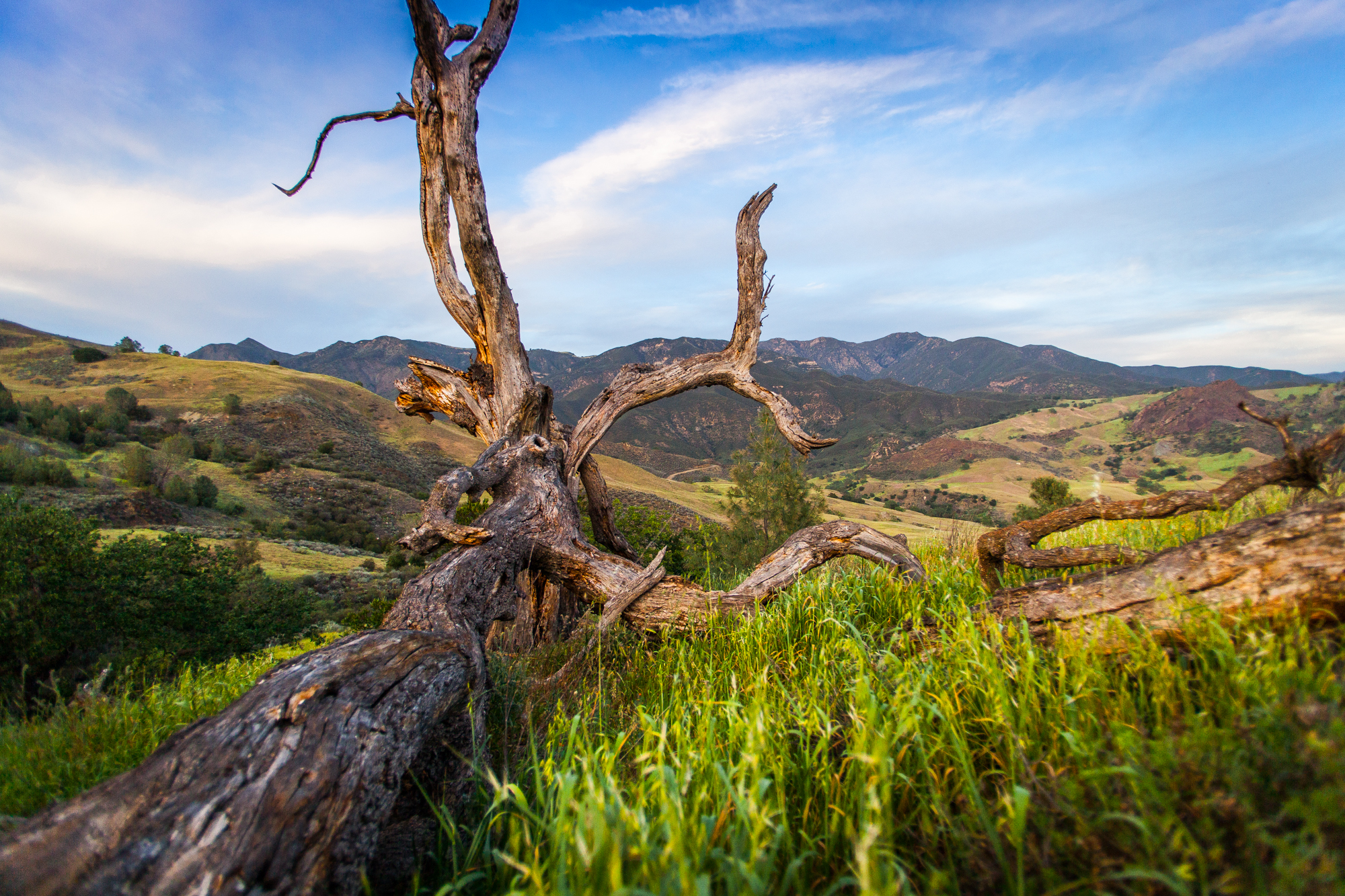 Backpack Zaca Ridge