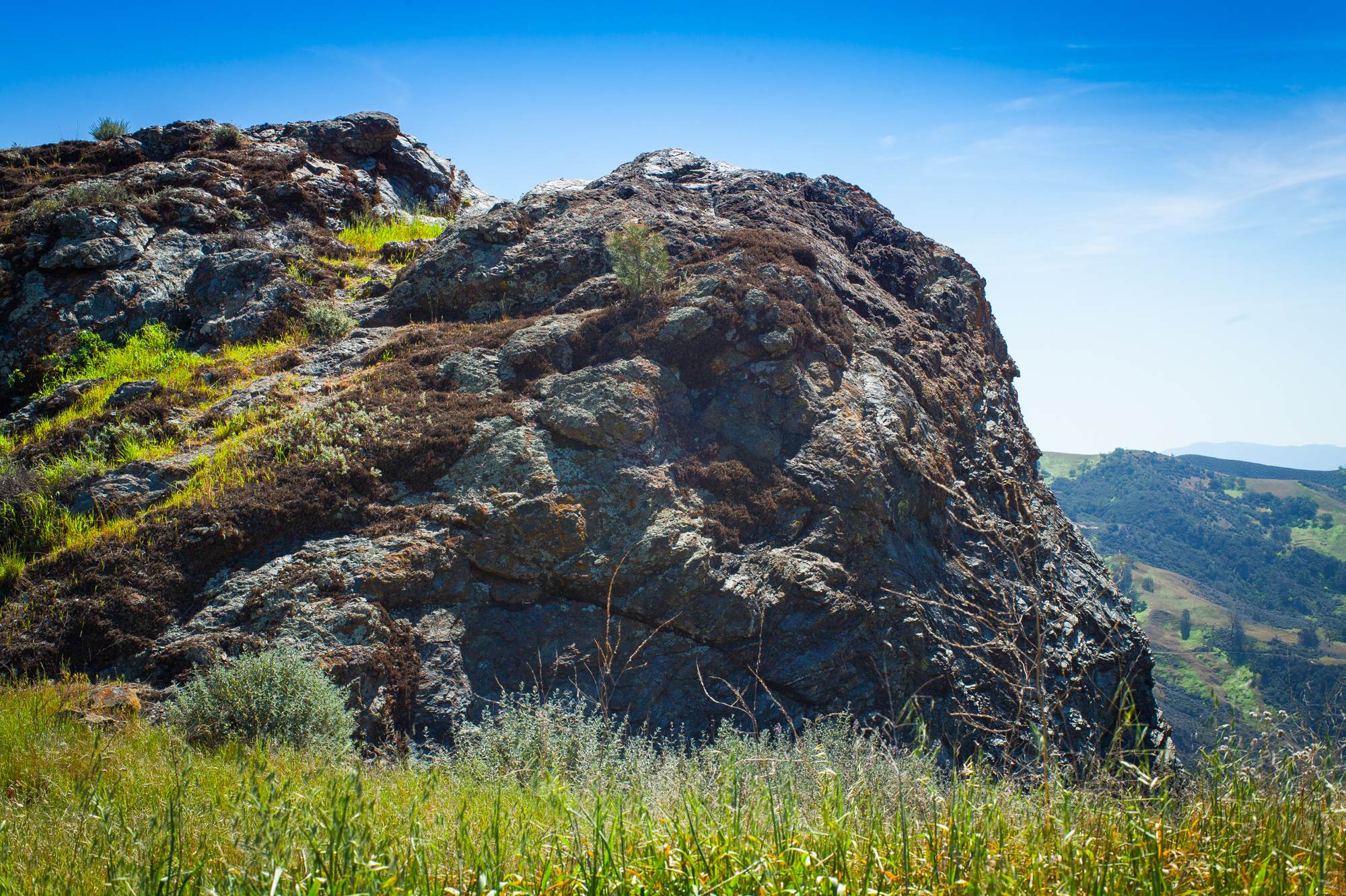 Backpack Zaca Ridge