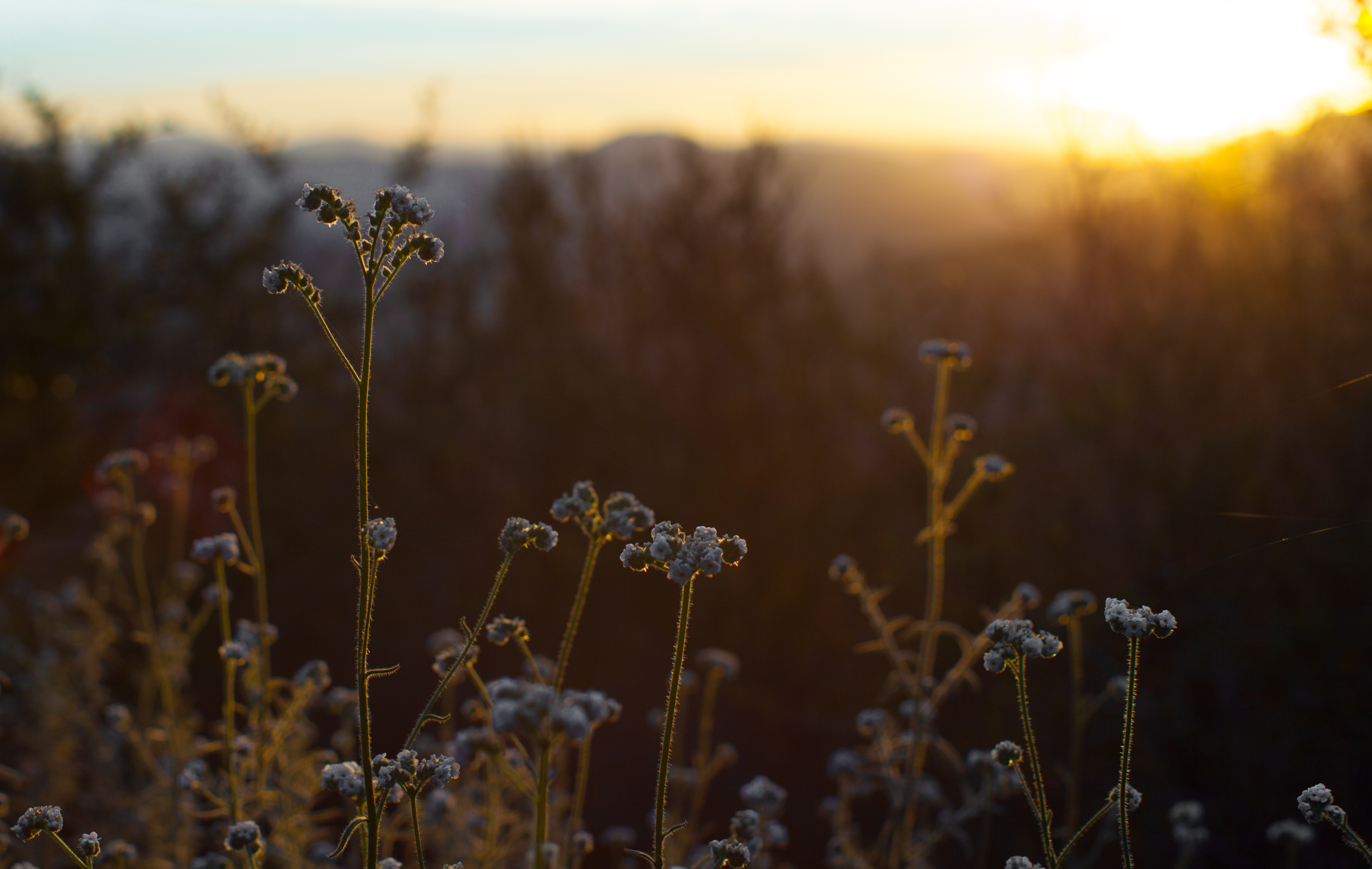 Backpack Zaca Ridge