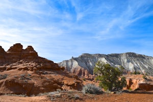 Angel's Palace Trail 