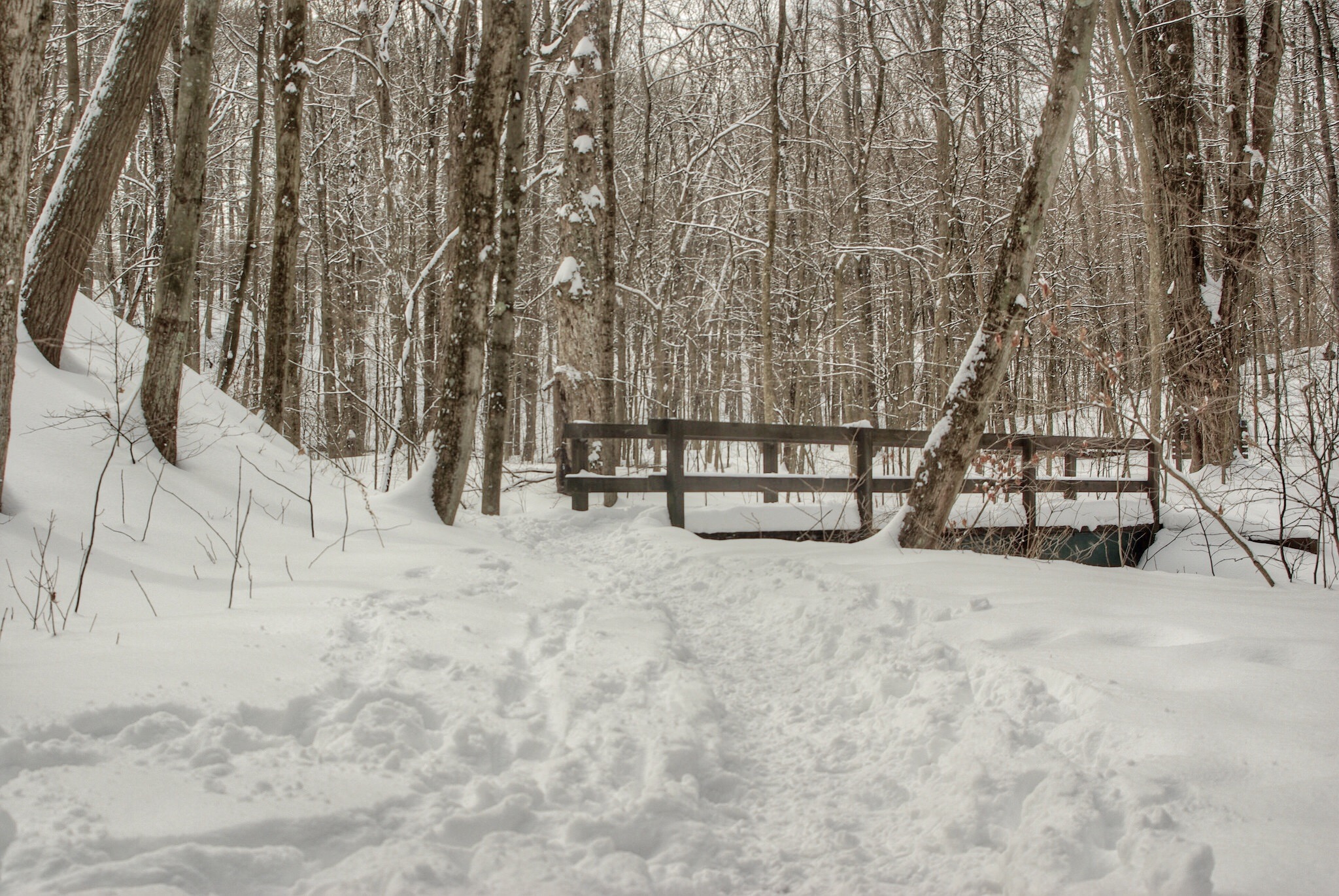 Hike Through Hells Hollow