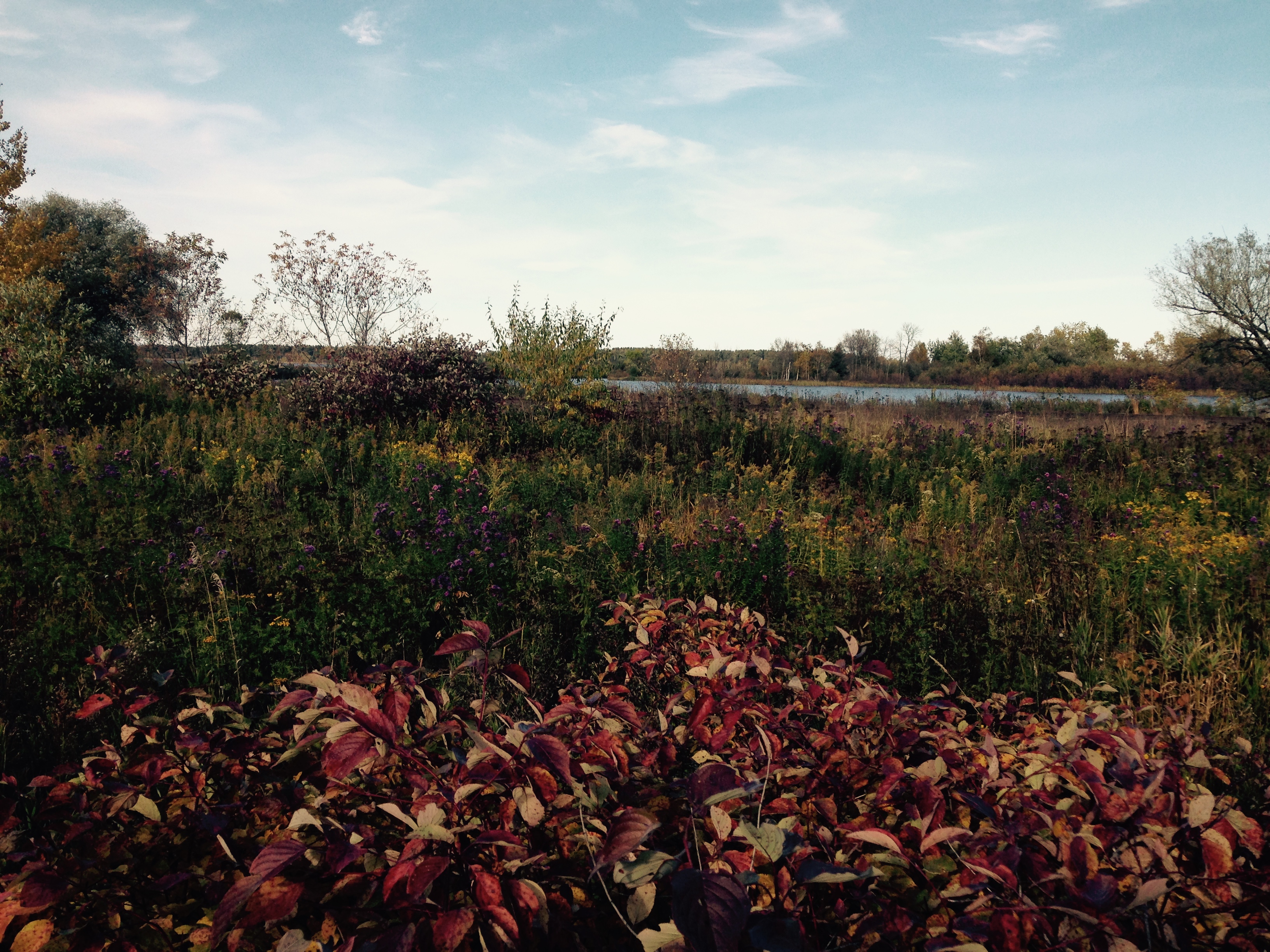 Bike the Osaugie Trail