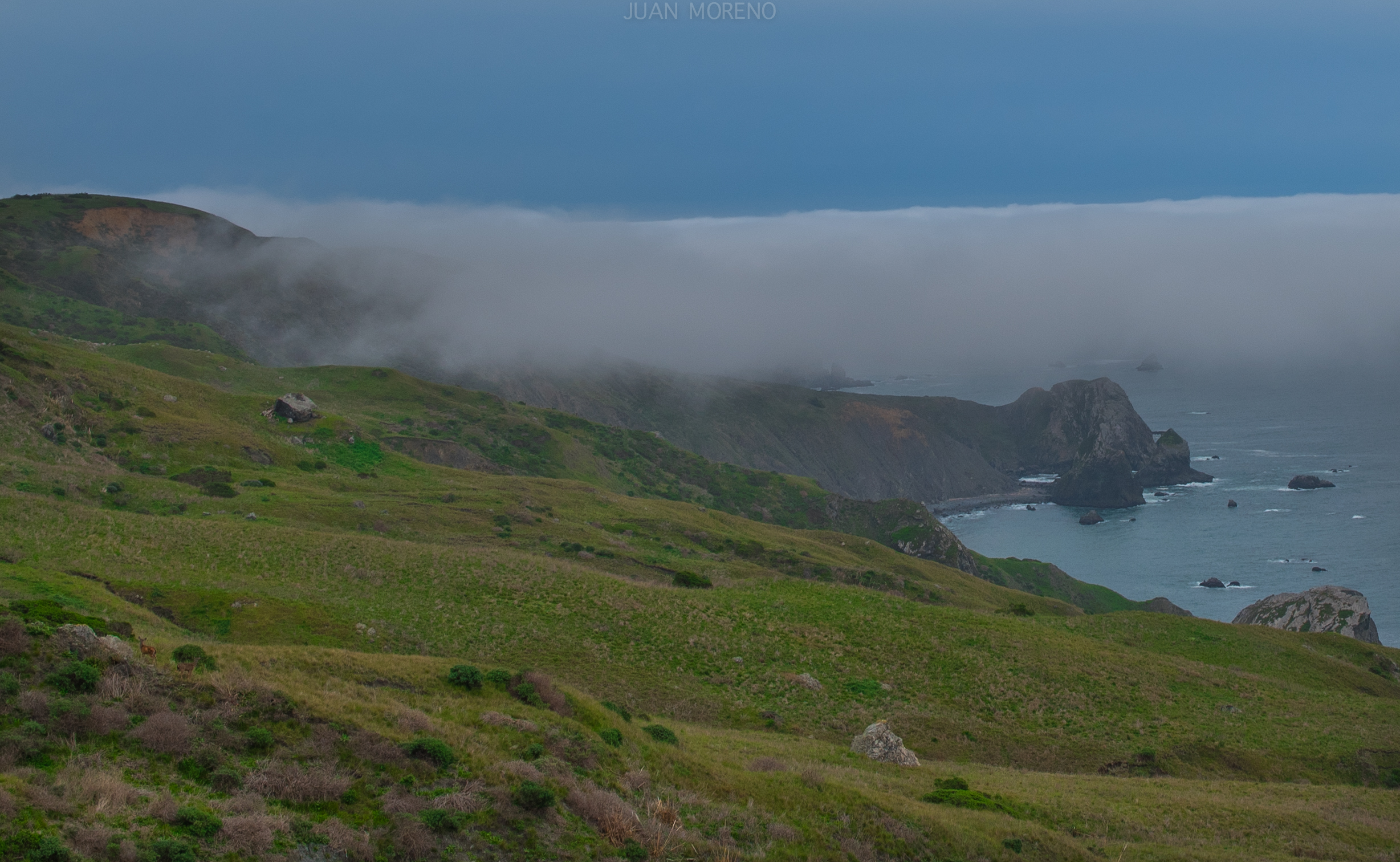 Cruising Pacific Coast Highway in Northern California