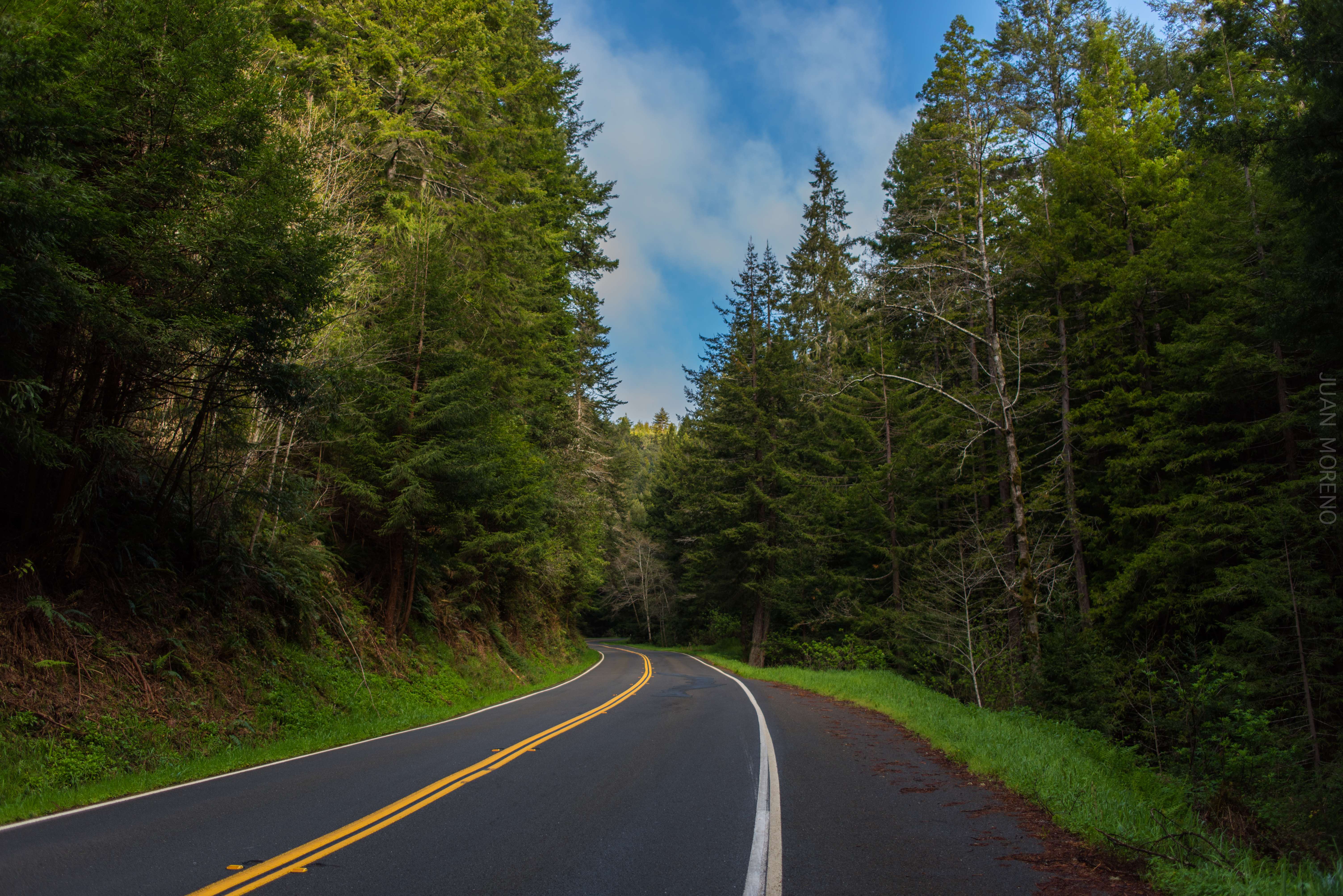 Cruising Pacific Coast Highway in Northern California