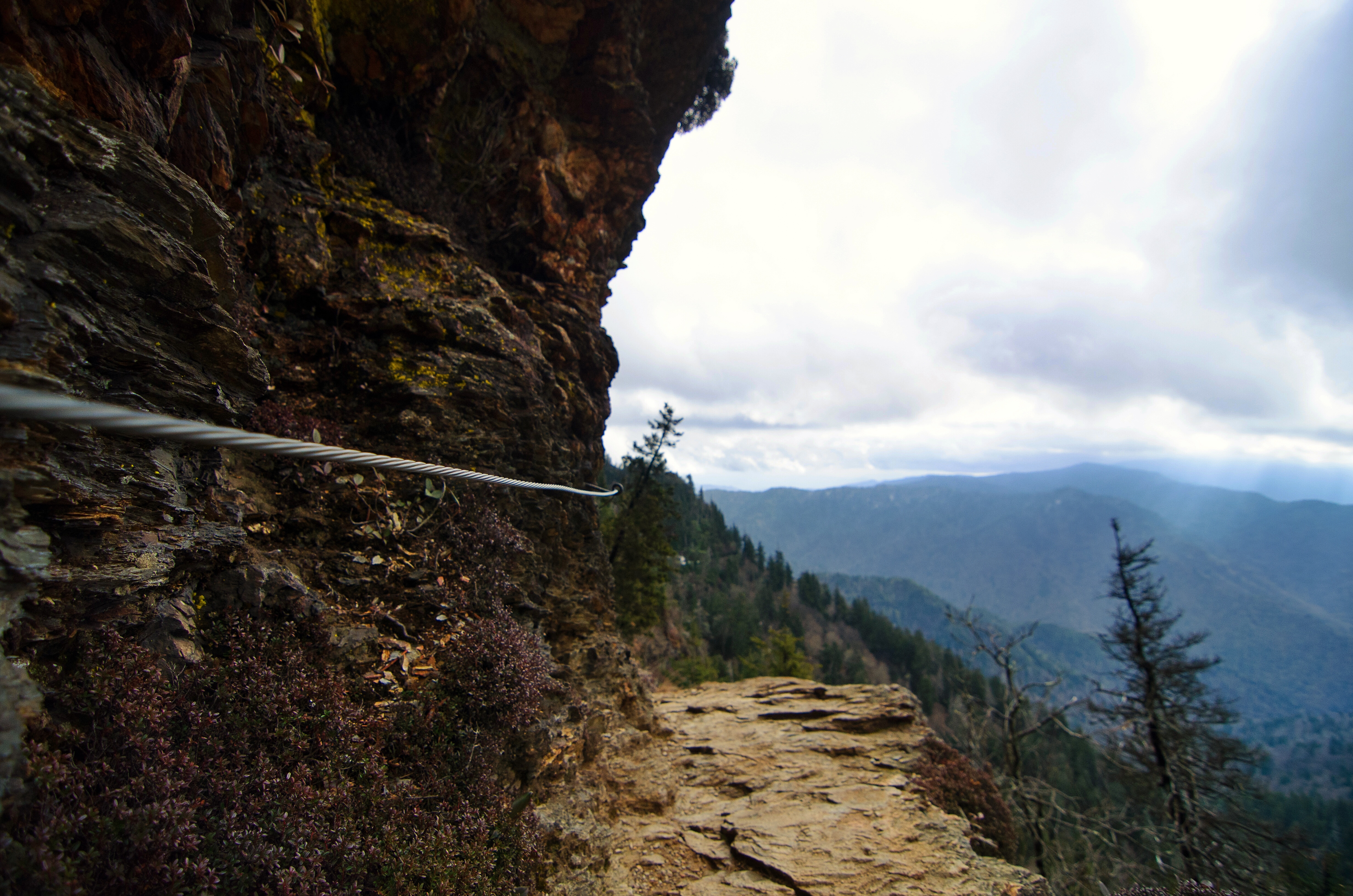Mt. LeConte via Alum Cave Bluff