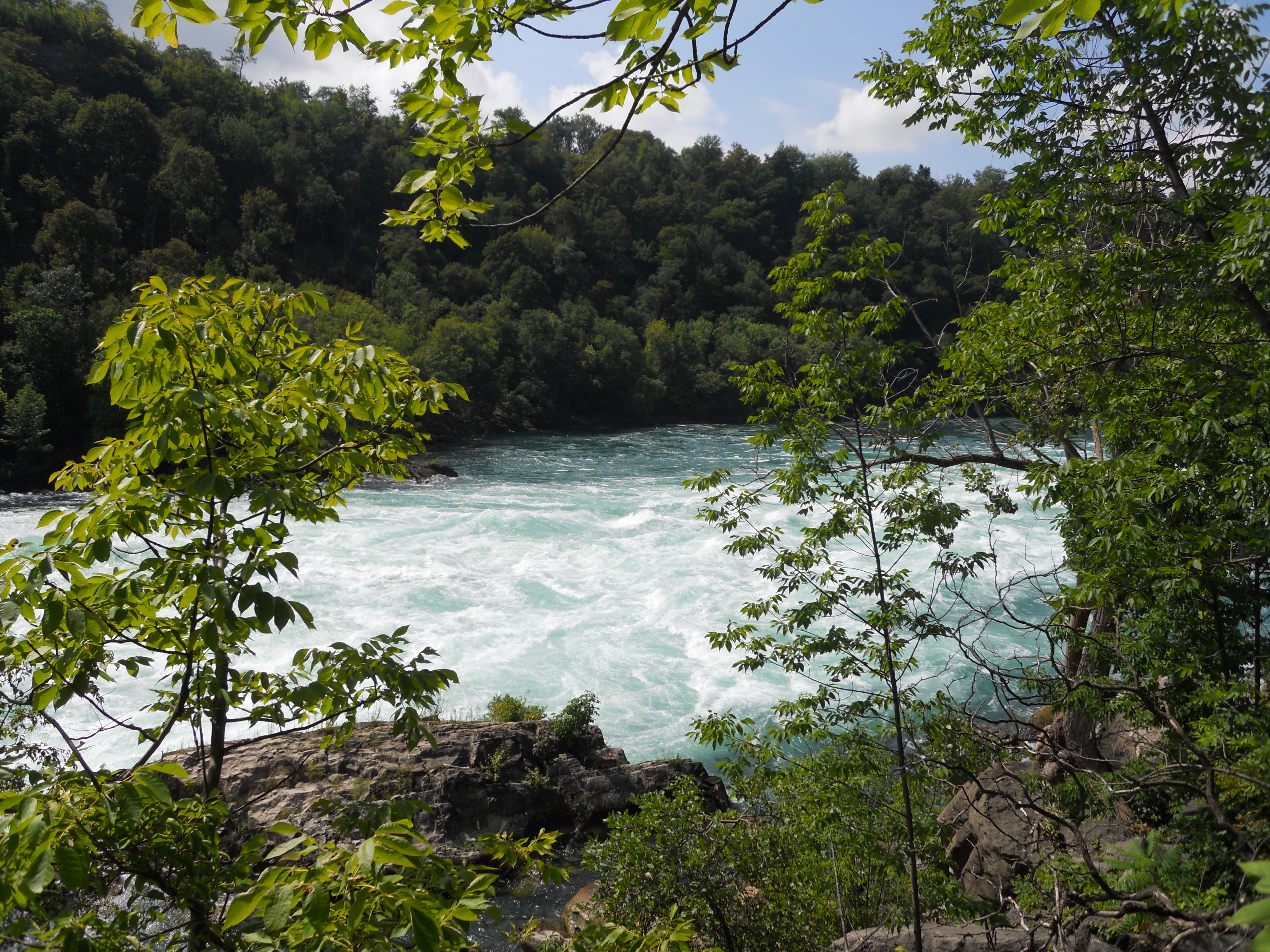 Niagara Gorge Whirlpools