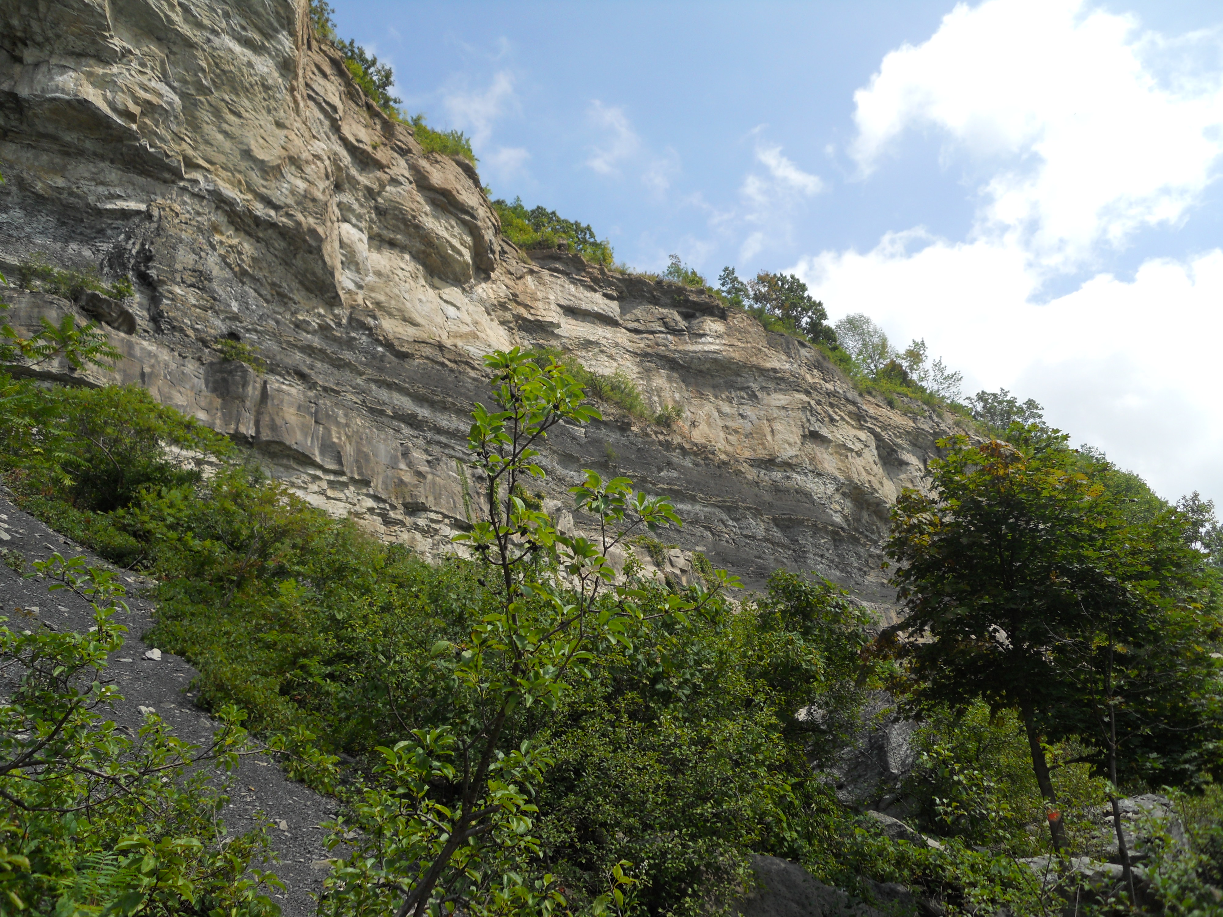 Niagara Gorge Whirlpools