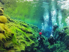 Diving in Silfra