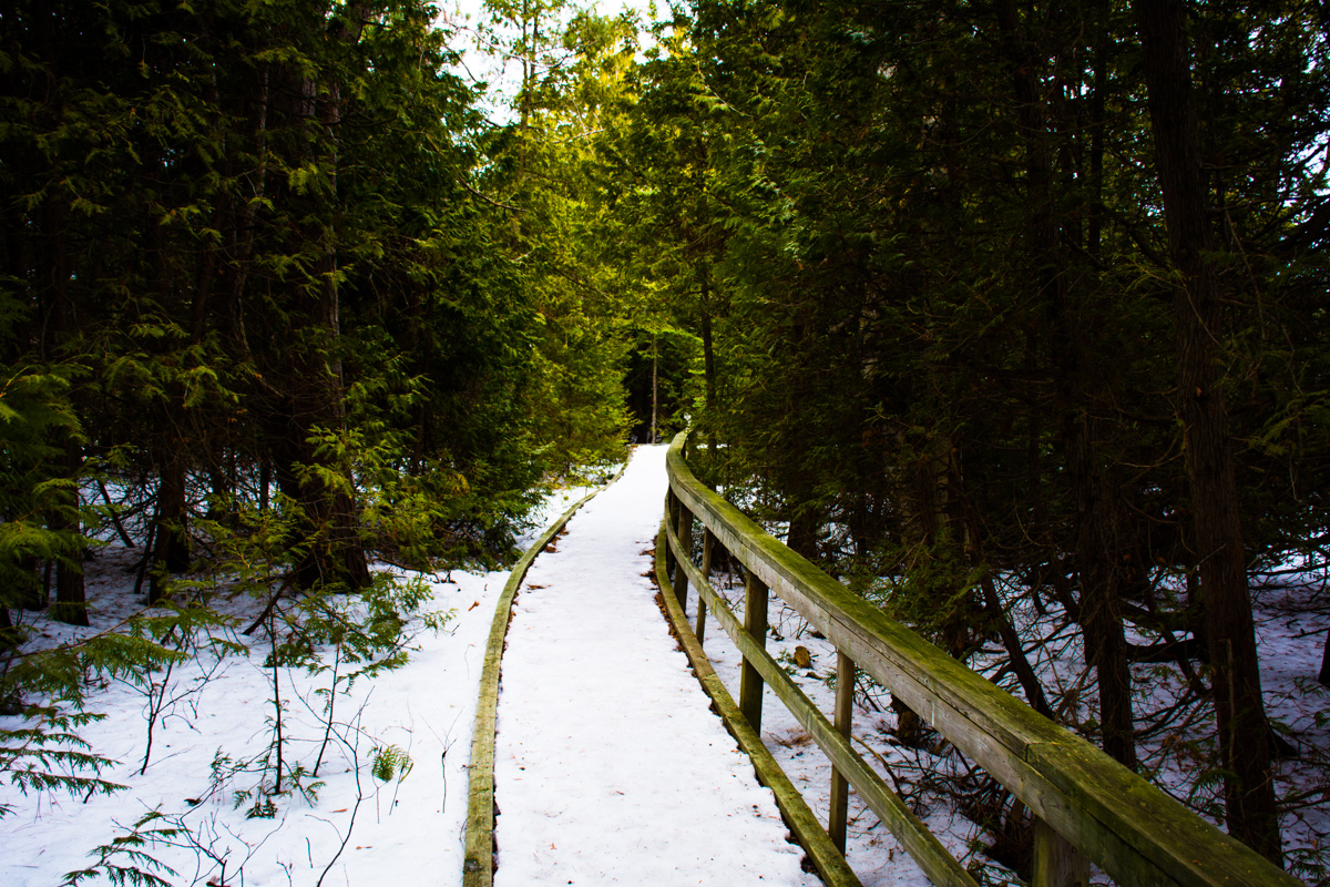 Hiking MacGregor Point Provincial Park 