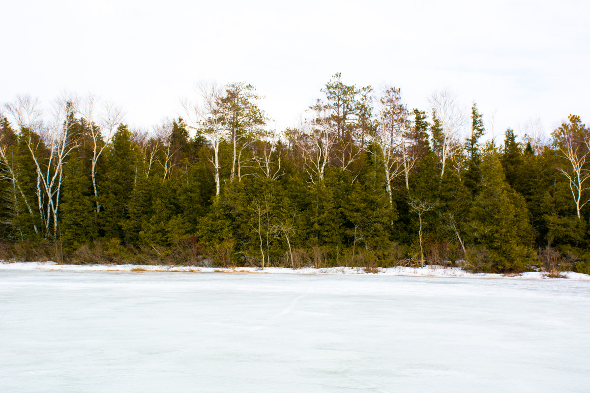 Hiking MacGregor Point Provincial Park 