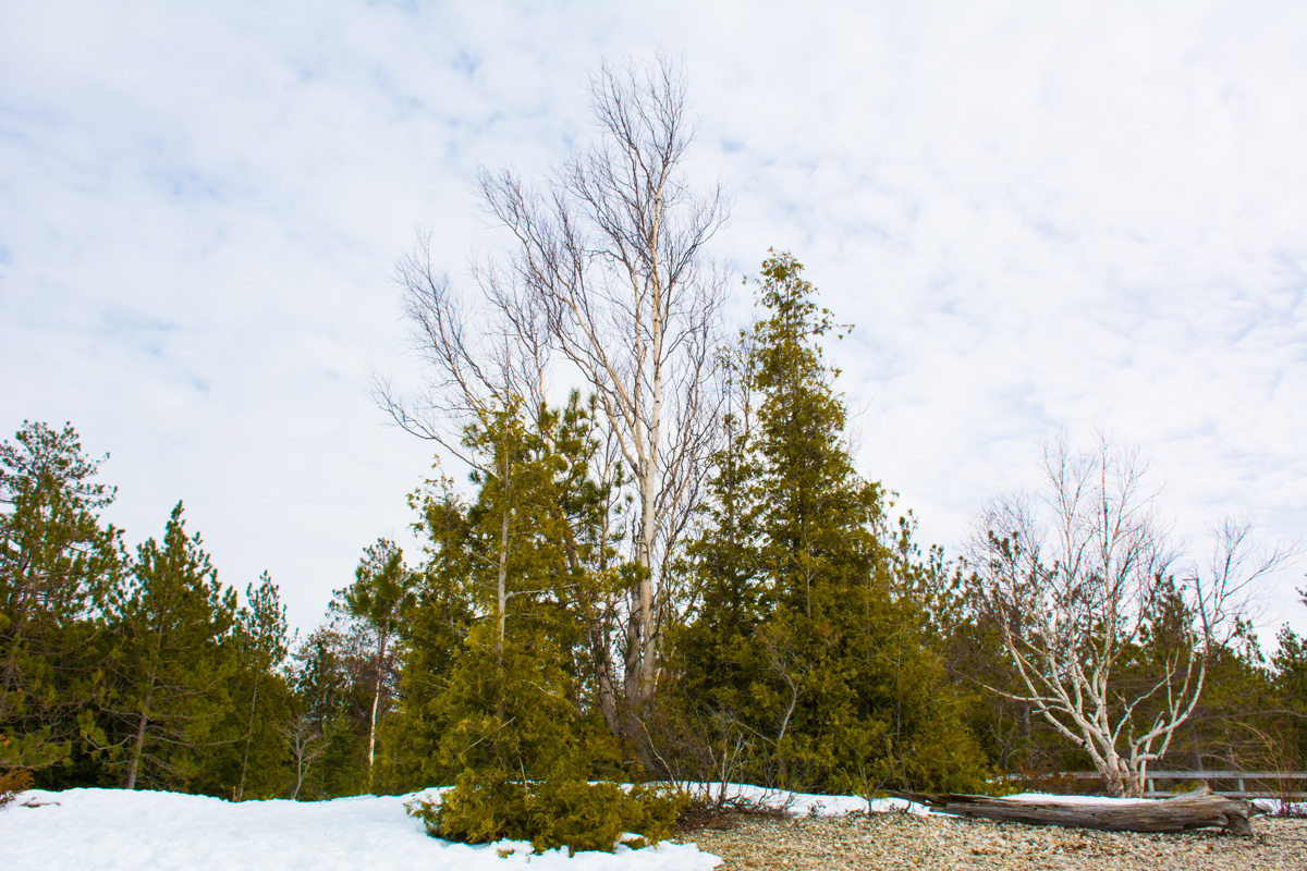 Hiking MacGregor Point Provincial Park 