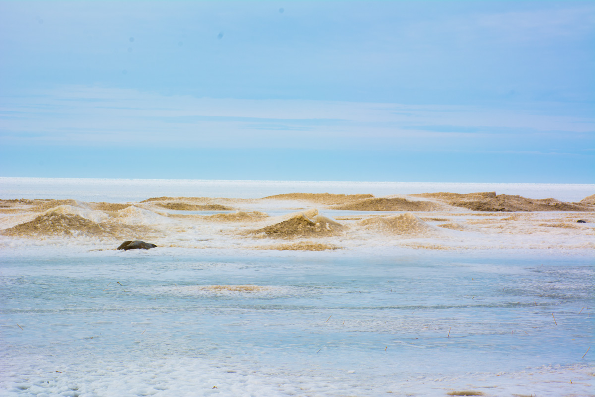 Hiking MacGregor Point Provincial Park 