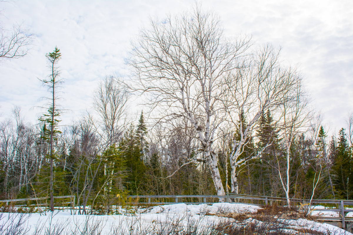 Hiking MacGregor Point Provincial Park 