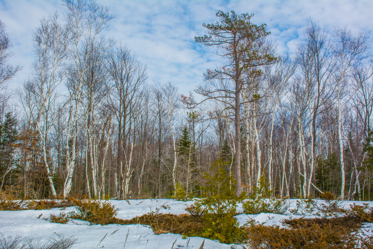 Hiking MacGregor Point Provincial Park 