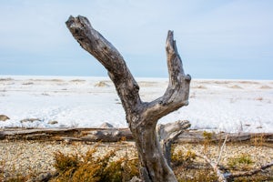 Hiking MacGregor Point Provincial Park 