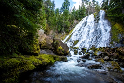 Hike to Diamond Creek Falls, Salt Creek Falls Trail