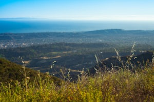 Hike the West Fork of Cold Spring