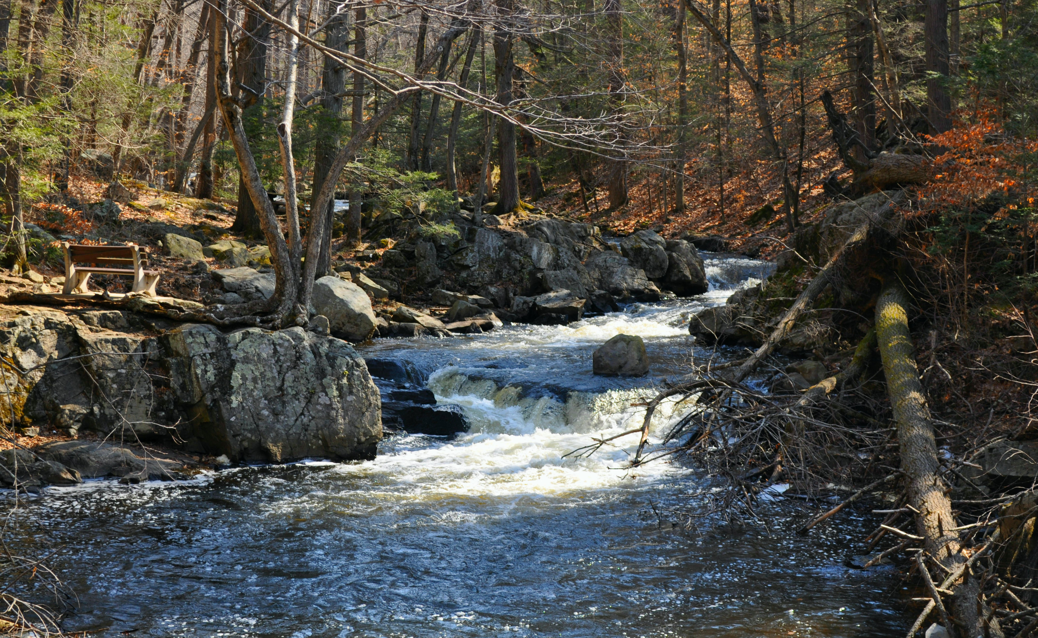Hike Hacklebarney State Park's Trout Brook Riverbanks