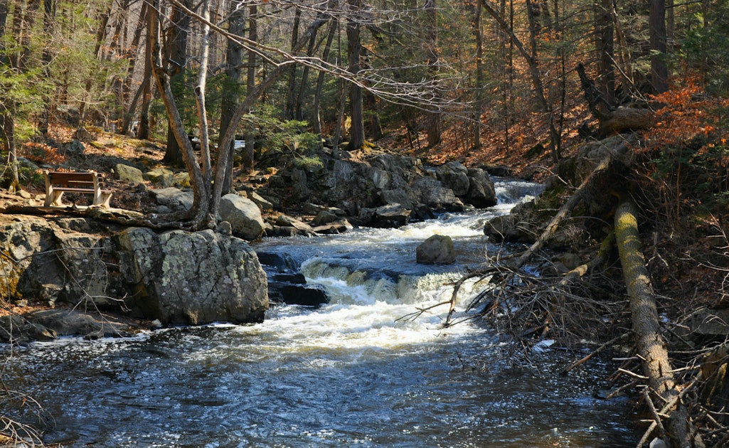 Hike Hacklebarney State Park's Trout Brook Riverbanks, New Jersey