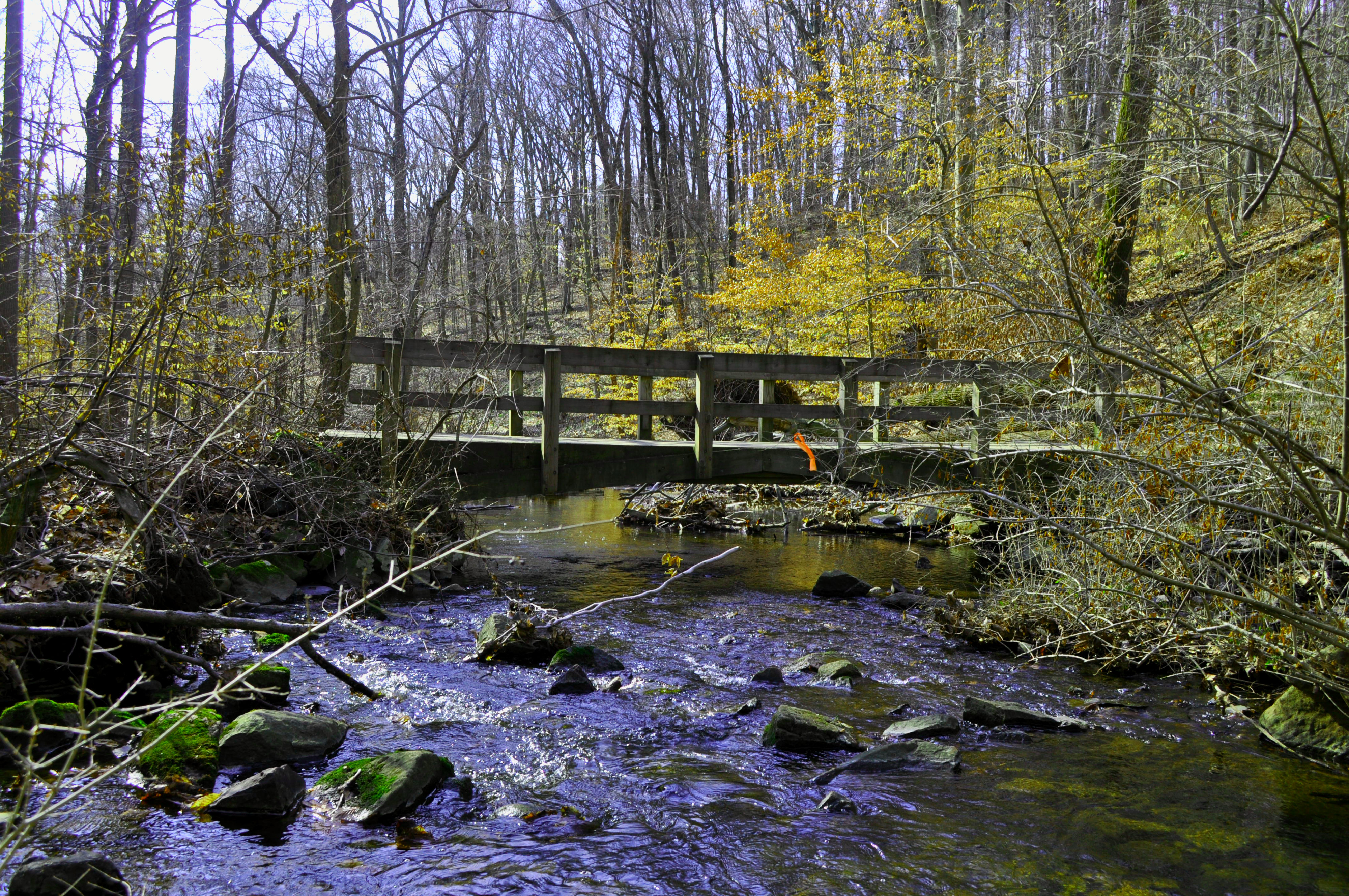 Hike Hacklebarney State Park's Trout Brook Riverbanks