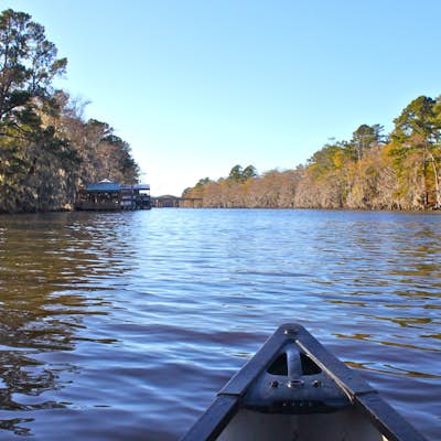 Canoeing Caddo Lake