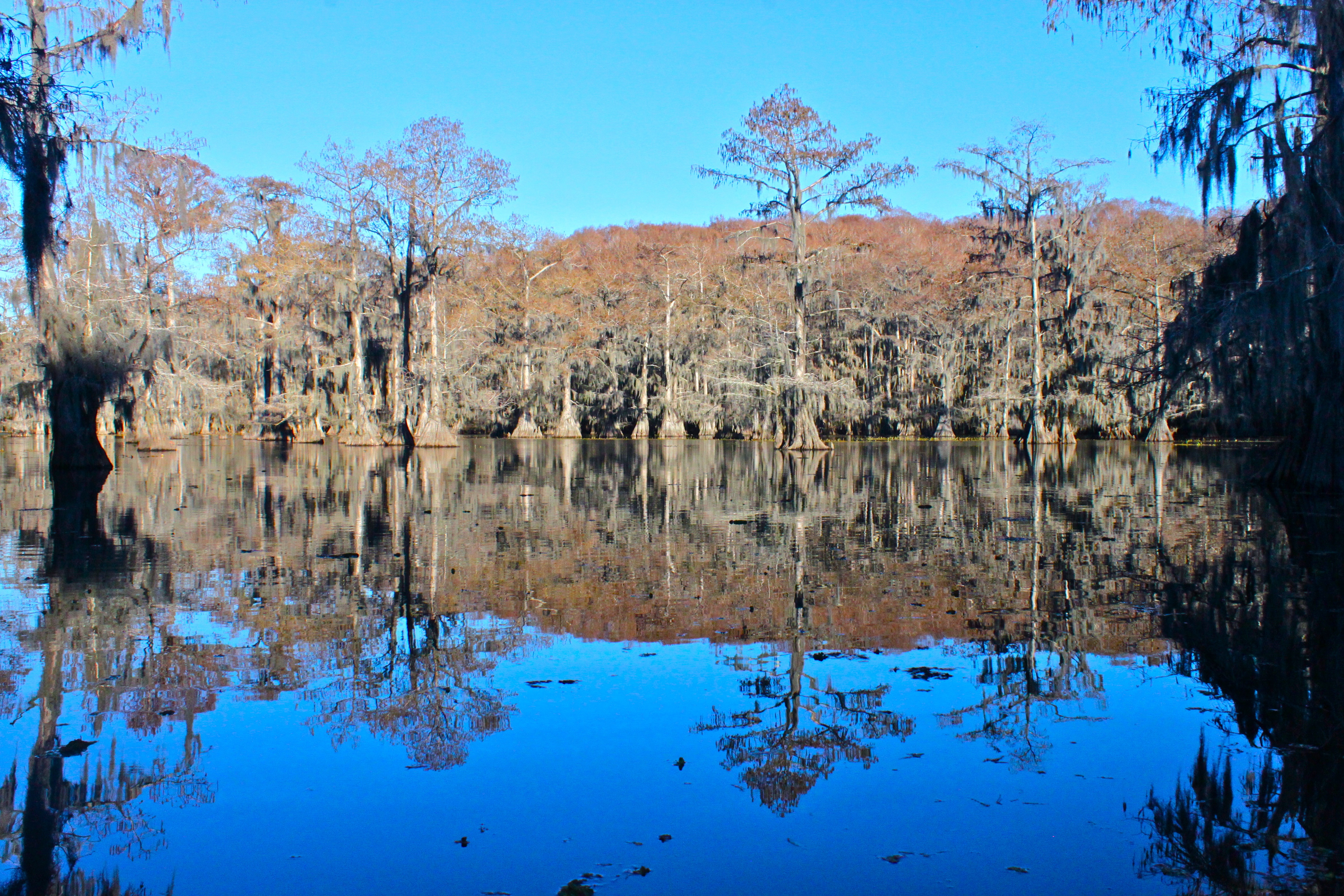Canoeing Caddo Lake, Karnack, Texas