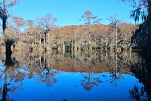 Canoeing Caddo Lake