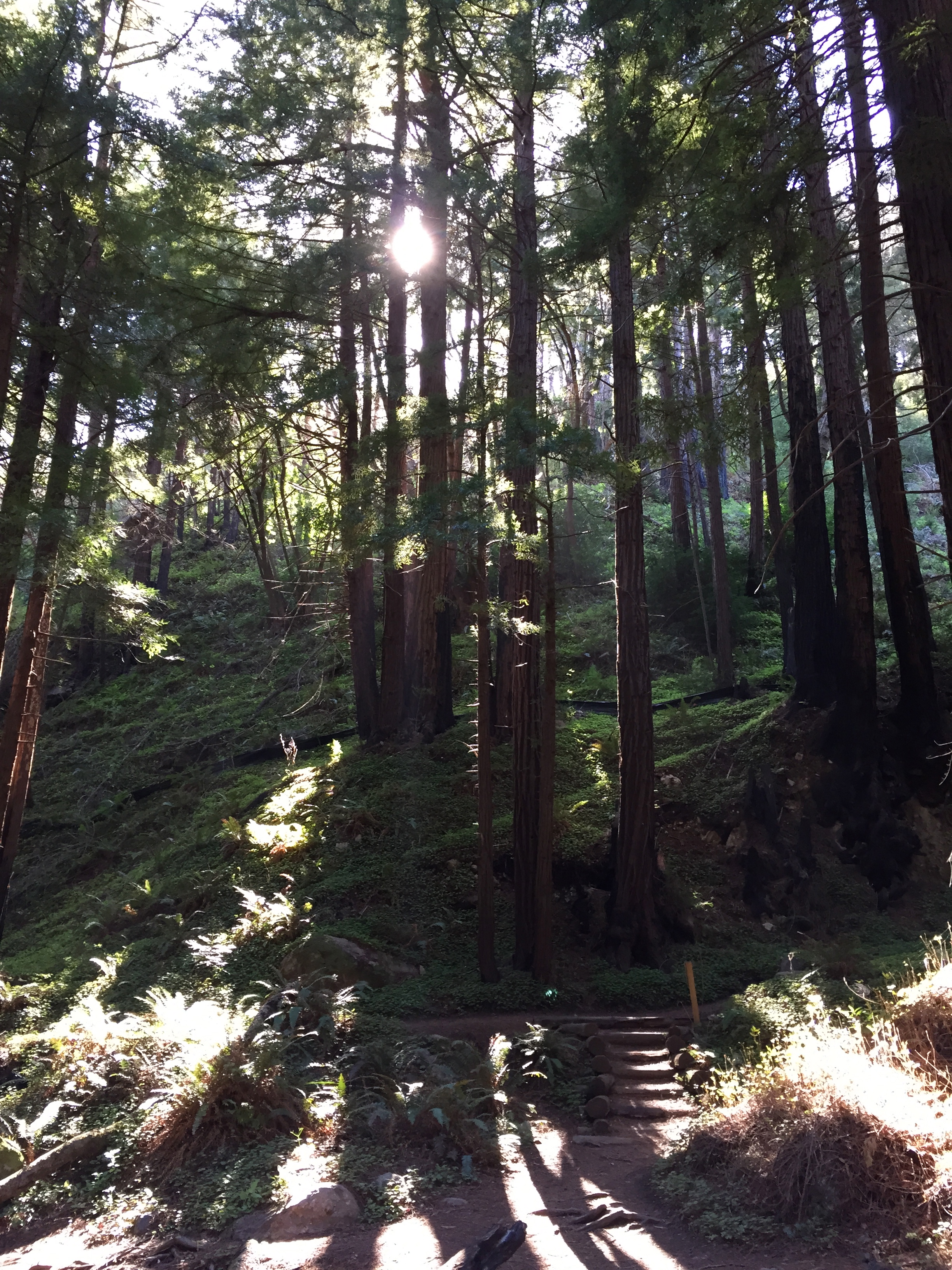 Camping at Limekiln State Park