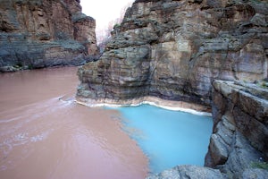 Confluence of the Colorado River and Havasu Creek