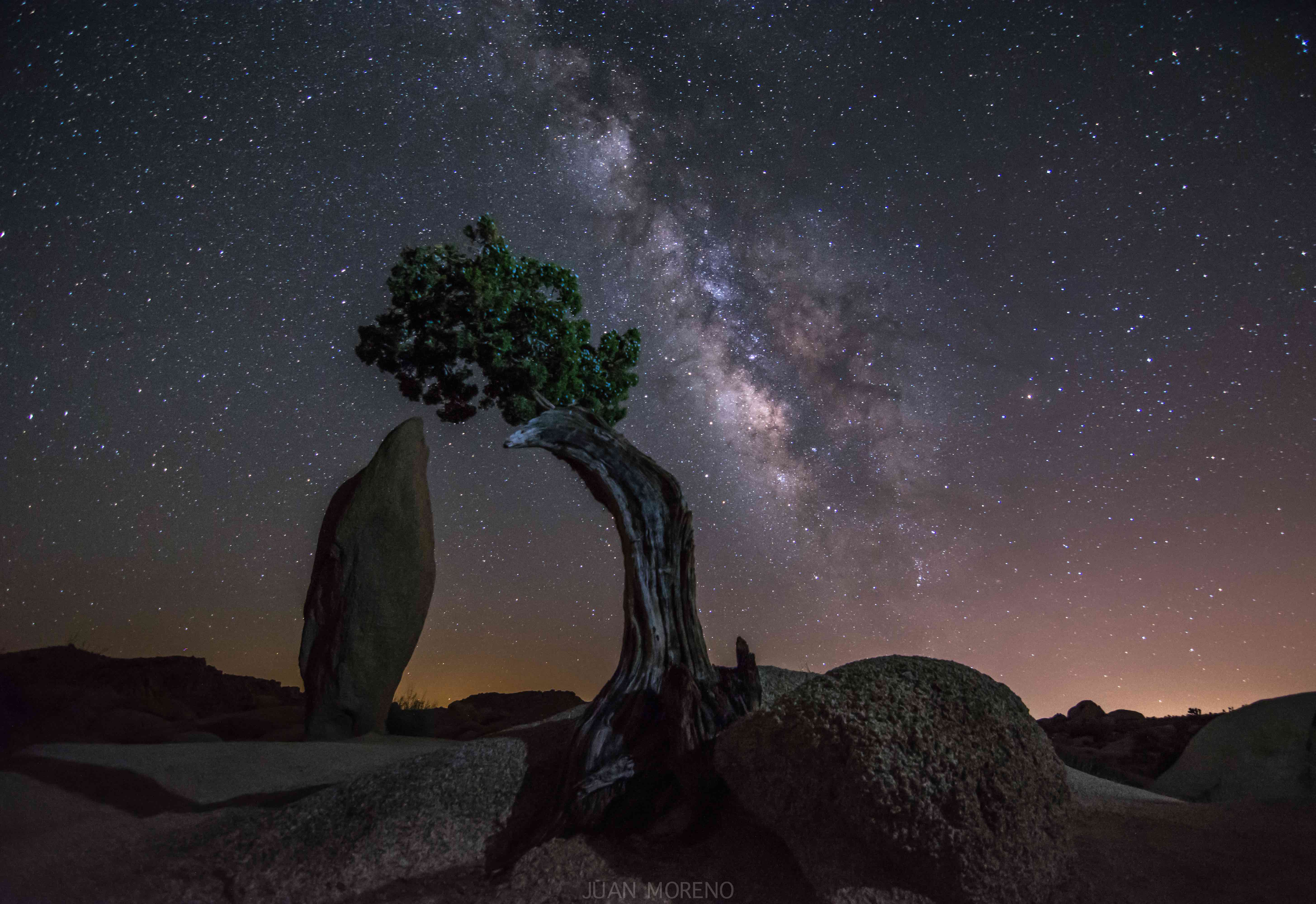 Camp at Joshua Tree's Jumbo Rocks