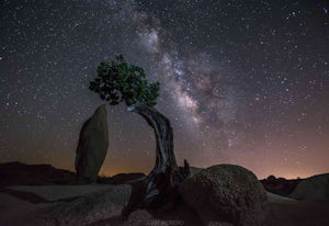 Camp at Joshua Tree's Jumbo Rocks