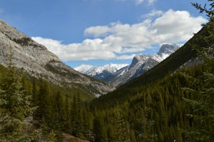 Hike up Galatea Creek to Lillian Lake