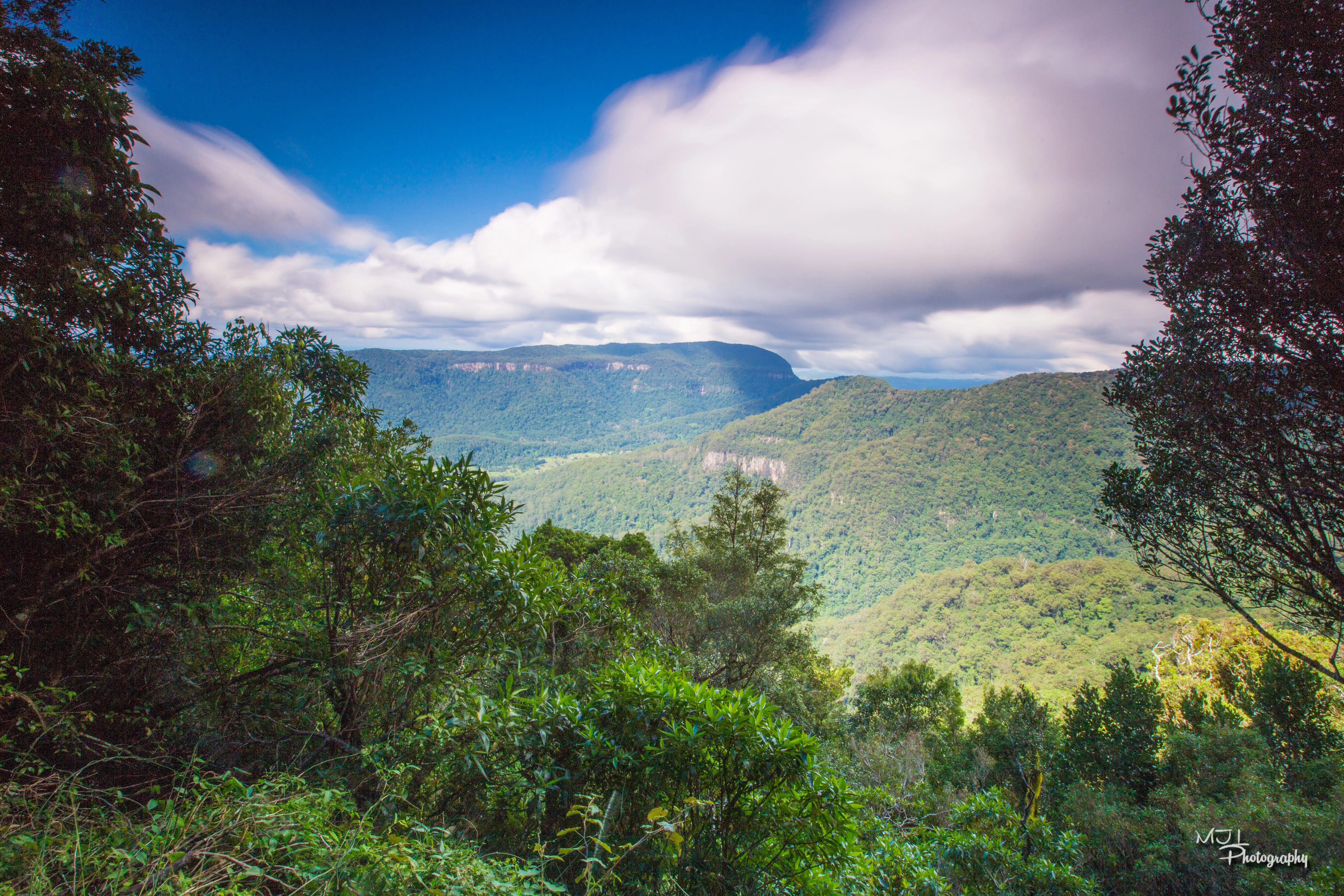 Hike Lamington National Park's Coomera River Track