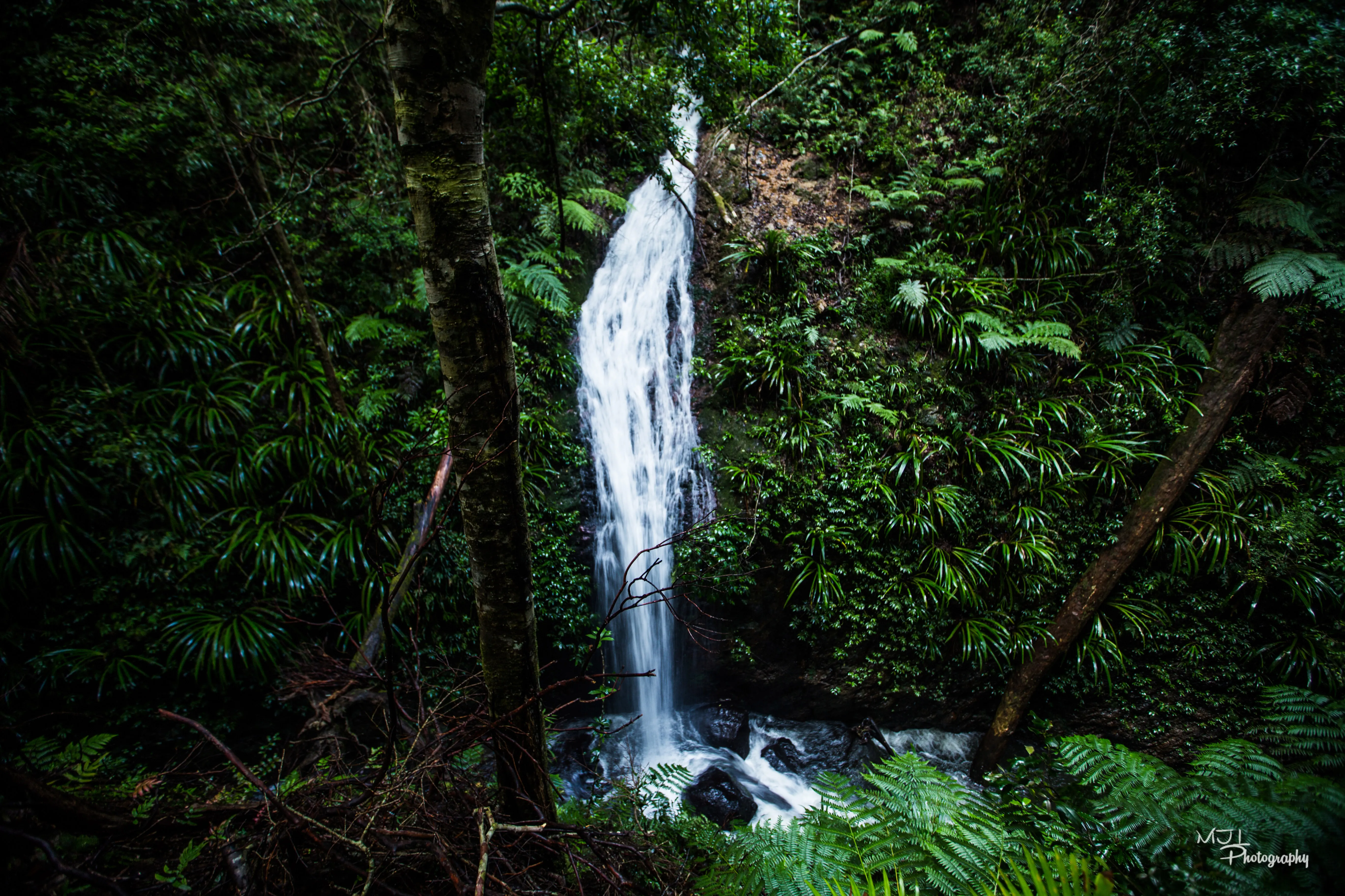 Hike Lamington National Park's Coomera River Track