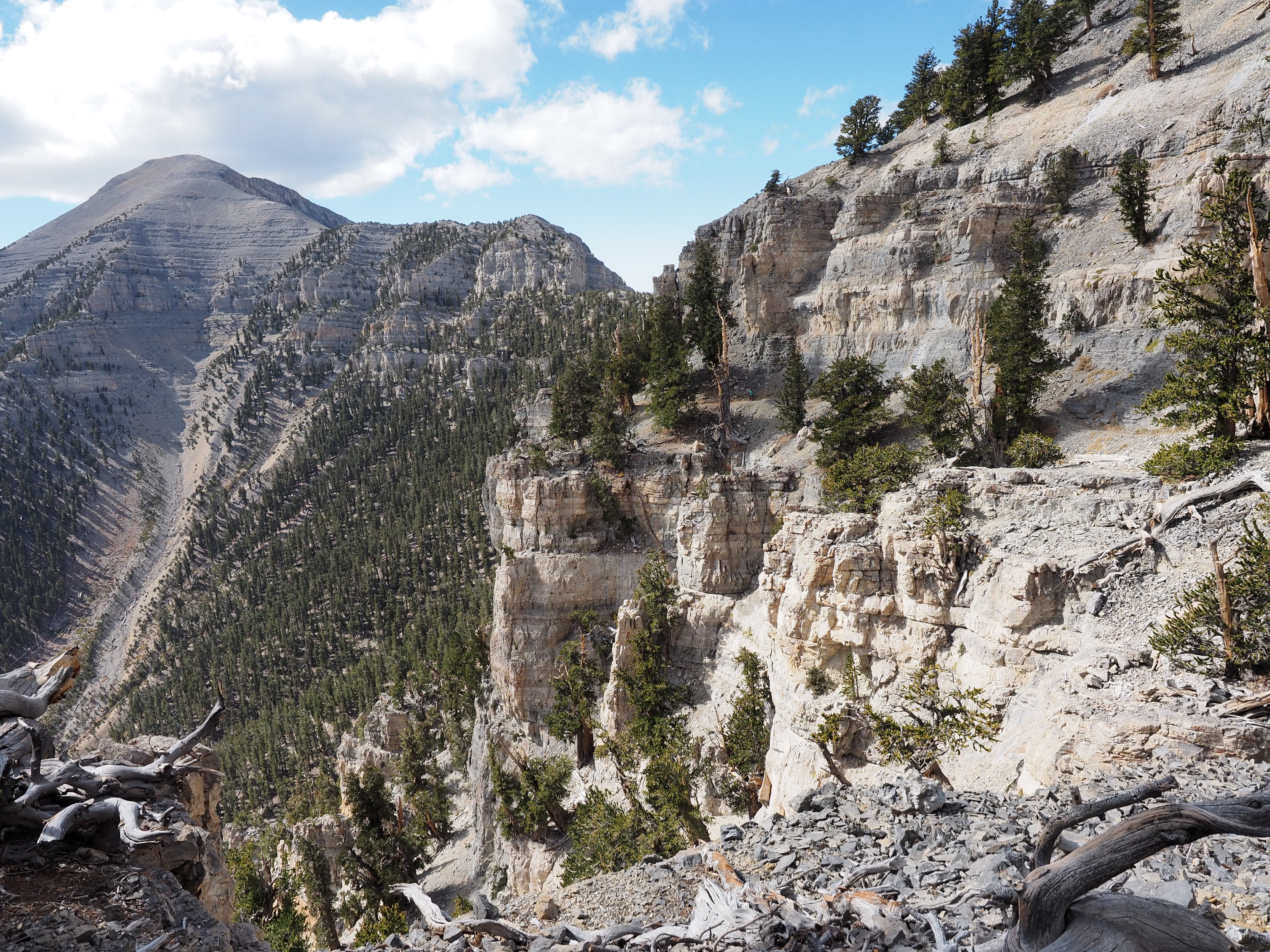 Mt. Charleston via Trail Canyon