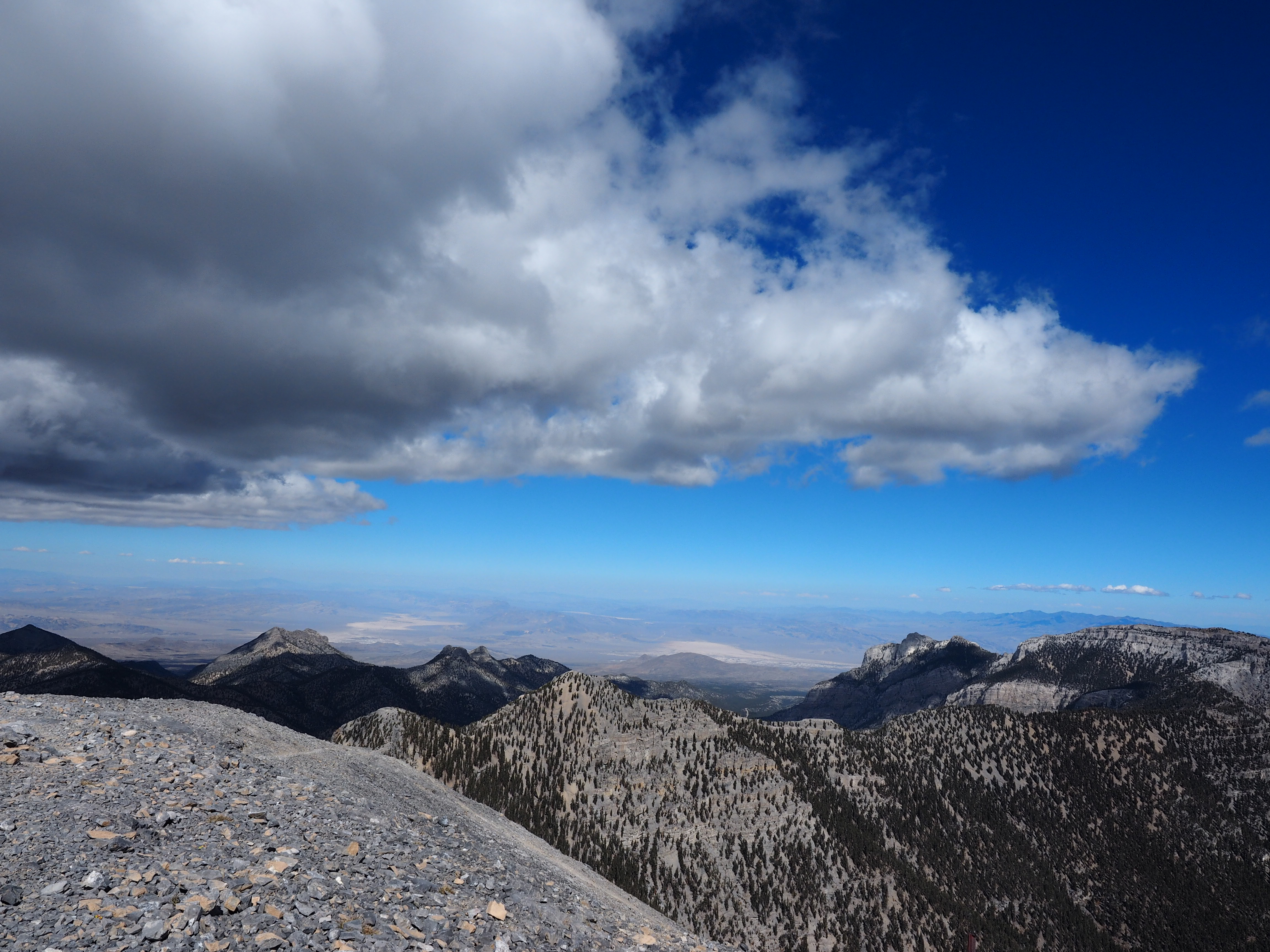 Mt. Charleston via Trail Canyon