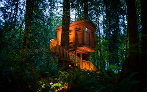 Spend a Night at TreeHouse Point