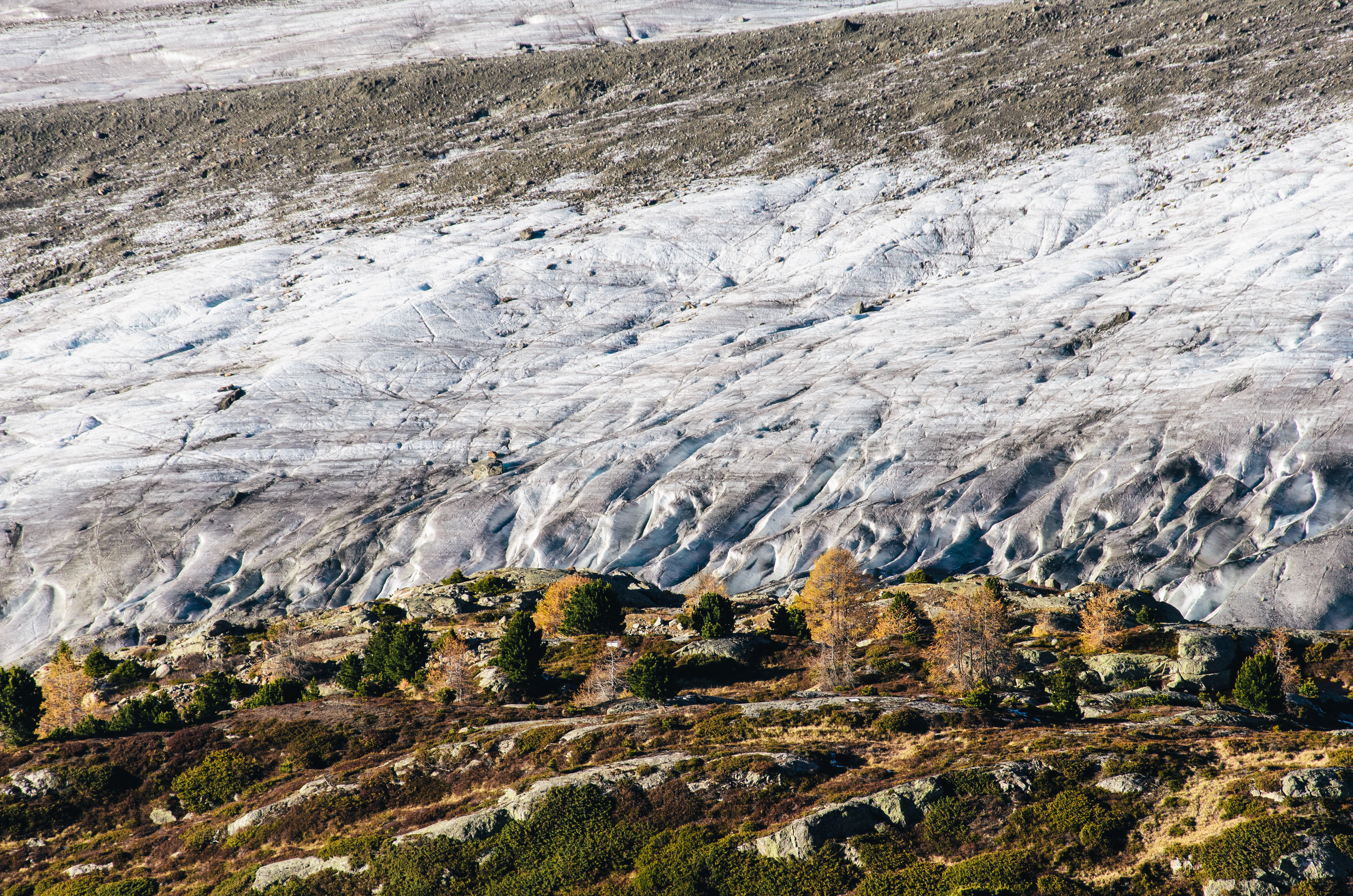 Hiking Along The Great Aletsch Glacier