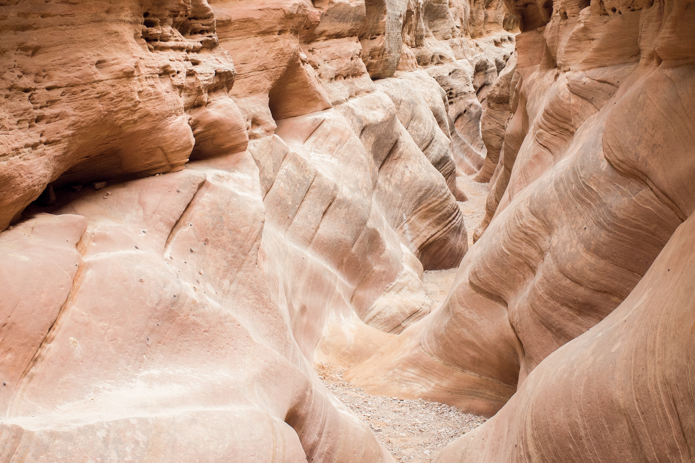 Little Wild Horse Canyon & Bell Canyon Loop