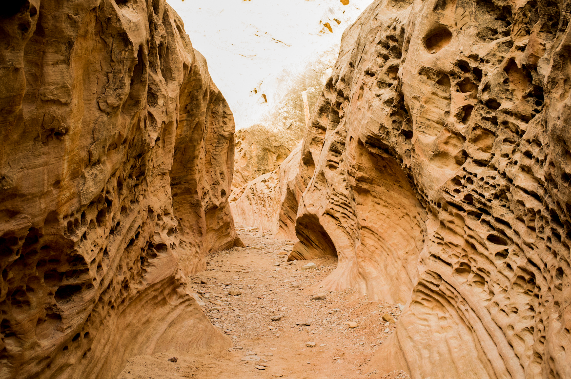 Little Wild Horse Canyon & Bell Canyon Loop
