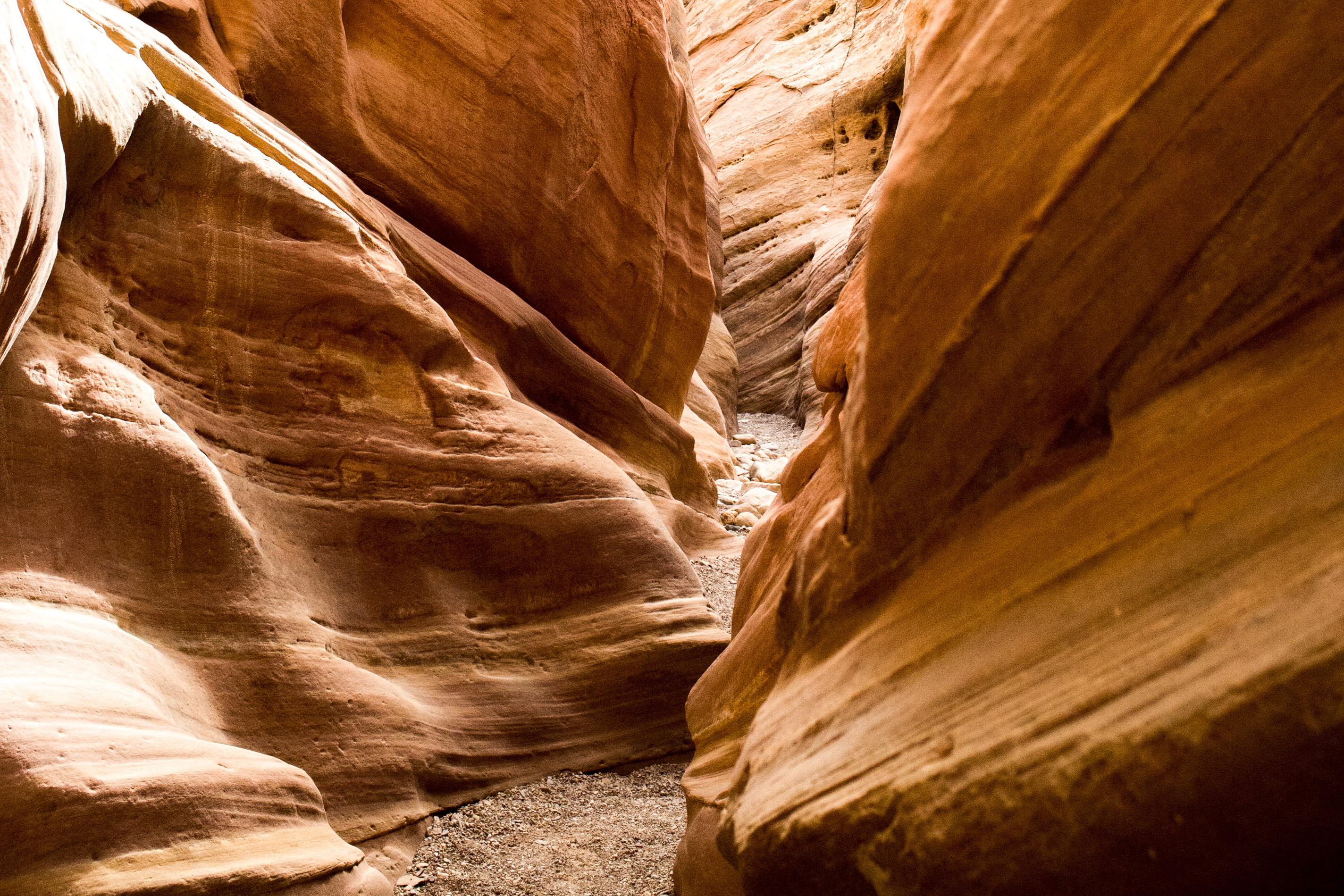Little Wild Horse Canyon & Bell Canyon Loop