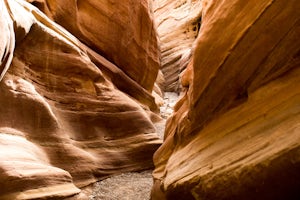 Hiking Little Wild Horse Canyon & Bell Canyon Loop