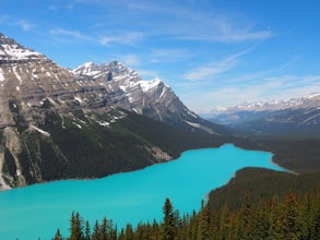 Peyto Lake Overlook and Bow Pass Summit