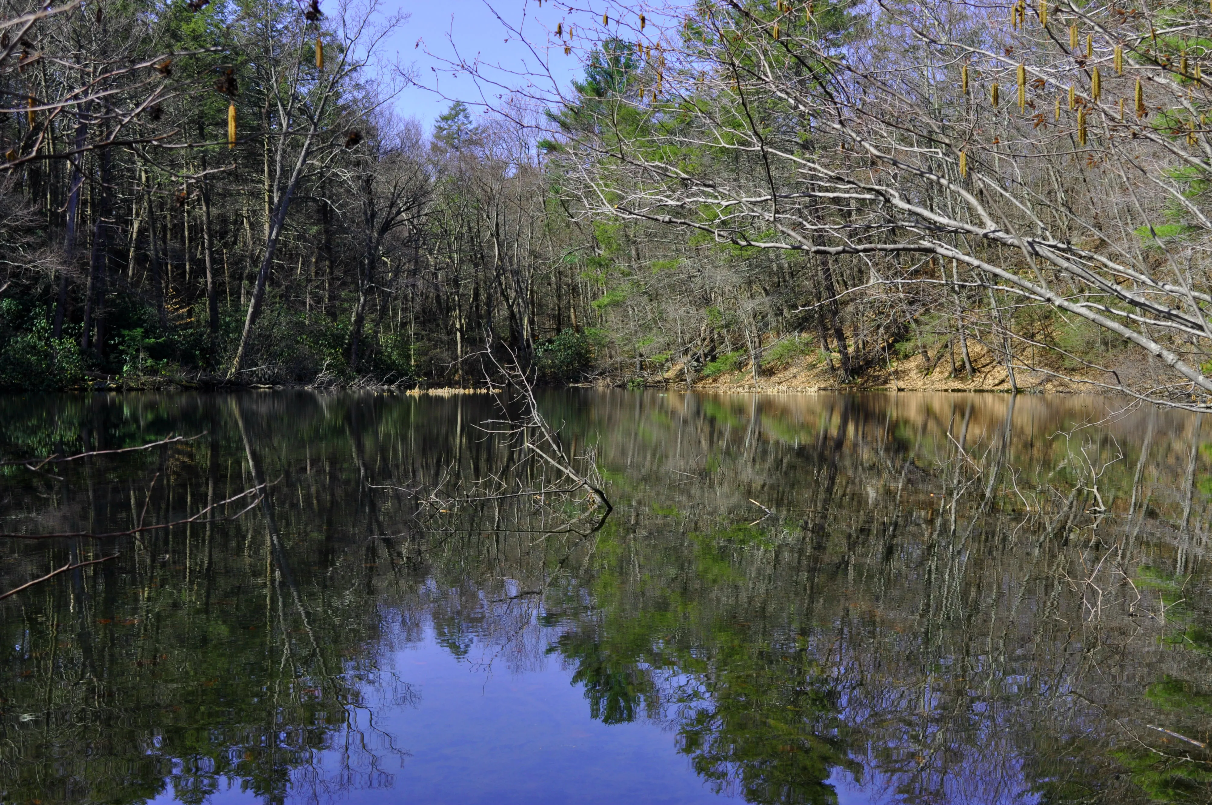 Hike Mount Minsi