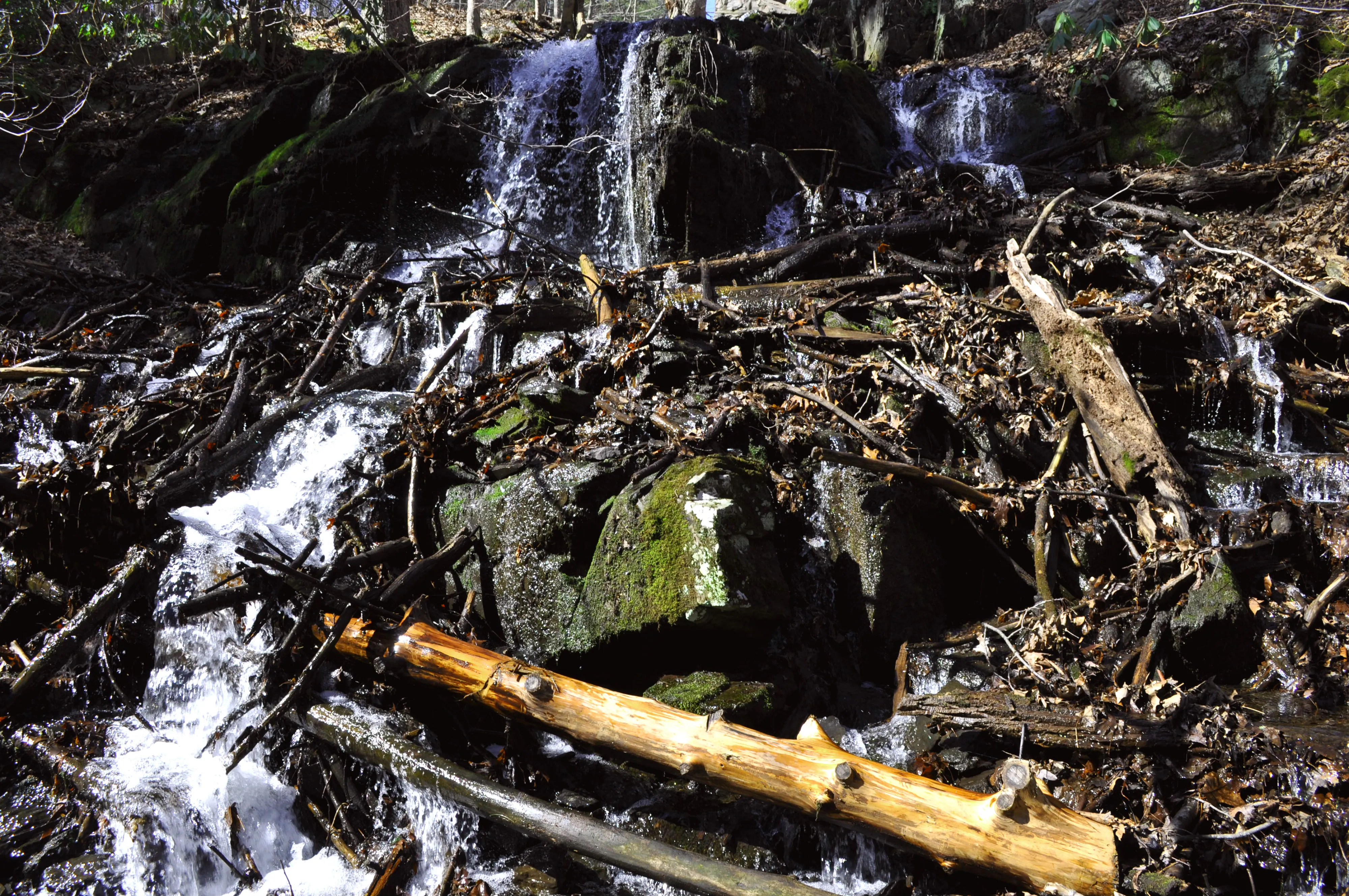 Hike Mount Minsi