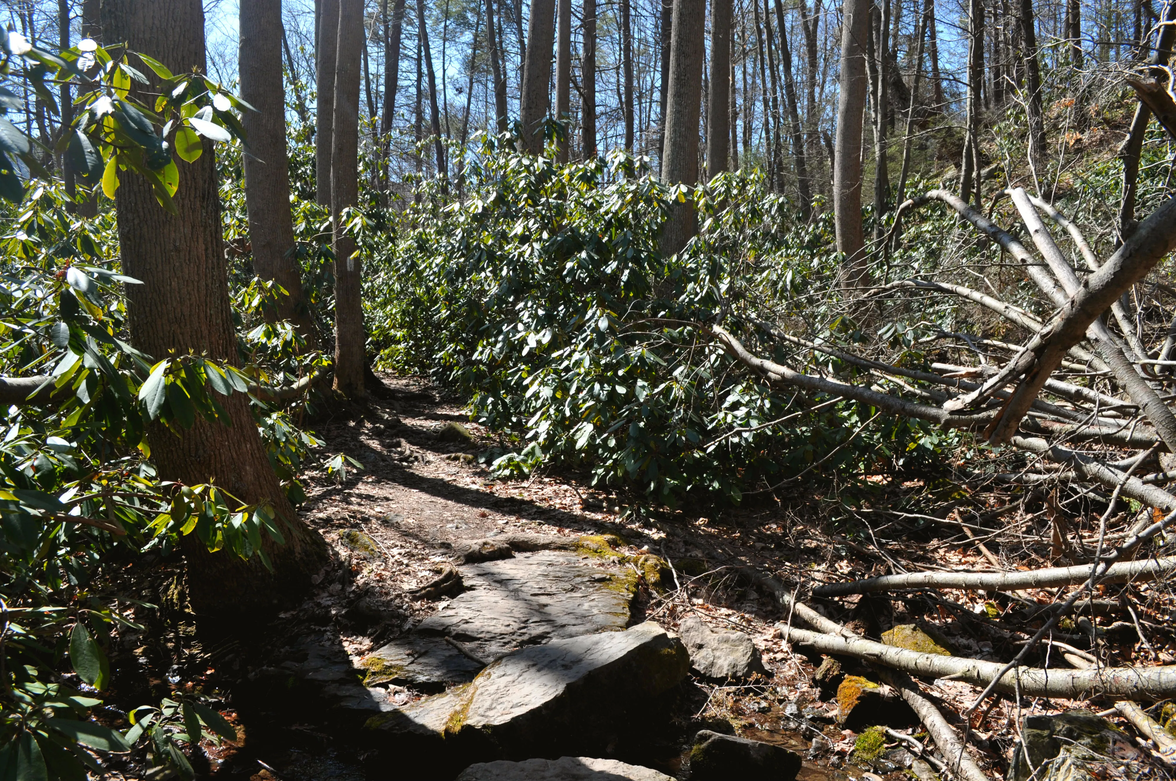 Hike Mount Minsi